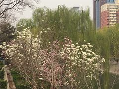 -金宫殿故址