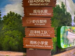 -正佳雨林生态植物园