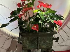 -黔香阁·味(花木店)
