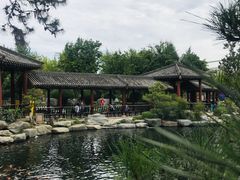 -中国唐苑