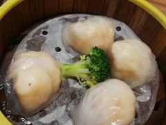 -粤港餐厅(禹州商业广场店)
