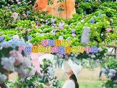 -天适樱花悠乐园