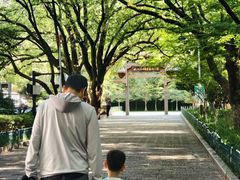 -杭州半山国家森林公园