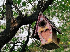 -北京张裕爱斐堡酒庄