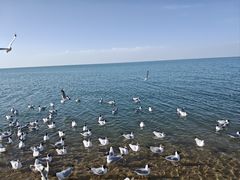 -青海湖二郎剑景区