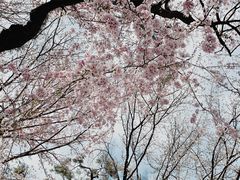 -京都御所