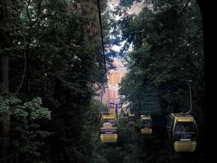 -黔灵山公园