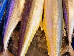 -芦潮港集贸市场