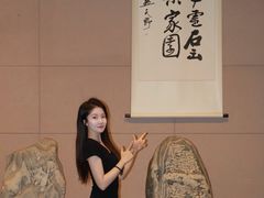 -中华赏石园