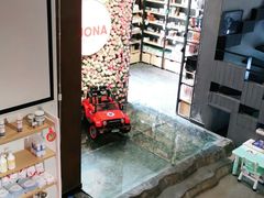 -百好乐宠物友好餐厅(朝外大街店)