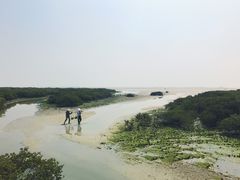 -北海金海湾红树林生态旅游区