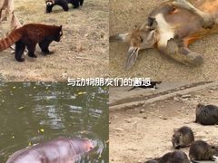 -泉州海丝野生动物世界