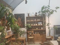-自由生长植物工作室(深港花卉中心店)