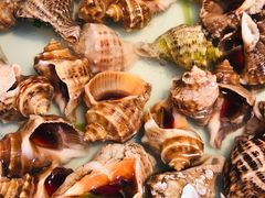 -宁海金海开元名都大酒店·名爵自助餐厅(金水路店)