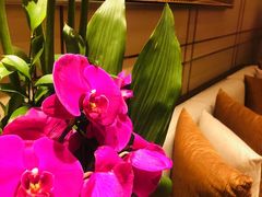 -彩丰楼·中餐厅(国家会展中心上海洲际店)