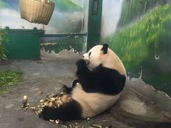 -无锡动物园·太湖欢乐园