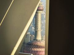 -上海柏悦酒店