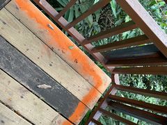 -三亚亚龙湾人间天堂鸟巢度假村