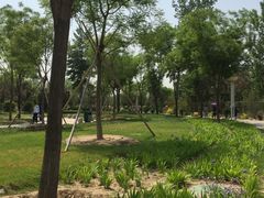 -燕郊植物园