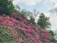 -木兰云雾山
