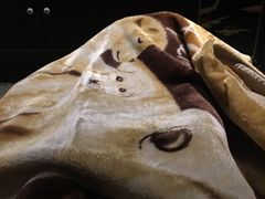 -樱蘭·影院足道·养生SPA(三里屯店)