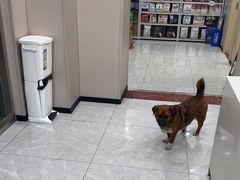 -瑞鹏宠物医院·超声·骨科·奇麟分院(蜀都万达店)