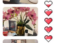 -楚禾宴·家宴(光谷大道店)