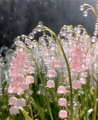 -深圳春天阳光医院·轮廓抗衰中心