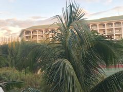 -岘港皇冠假日酒店