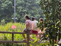 -成都市活水公园