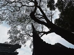-中山詹园