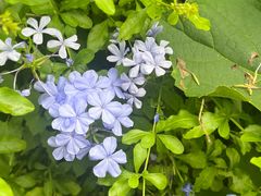 -福田红树林生态公园