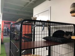 -SAH健身私教工作室(紫东店)