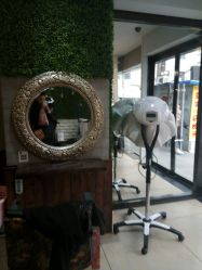 -红人馆造型十添