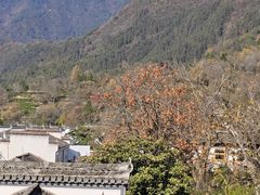 -塔川景区
