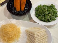 -丁老爷子苏香圆