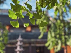 -西园戒幢律寺
