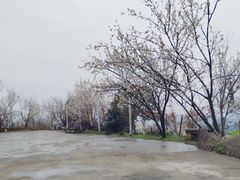 -樱桃山旅游景区