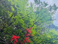 -萍乡武功山风景名胜区