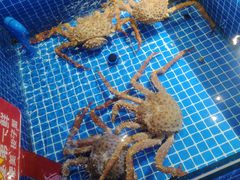 -渔港甄宴·海鲜·地标烟台菜(金沙滩店)