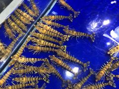 -盒马鲜生(新都心店)