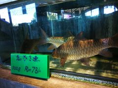 -悦海楼(三衢路店)