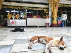 -ခြောက်ထပ်ကြီးရွှေသာလျောင်းဘုရားကြီး