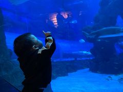 -成都浩海立方海洋公园