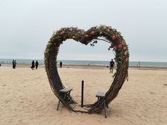 -日照海滨国家森林公园