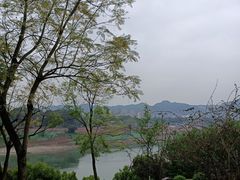 -金海湾滨江公园