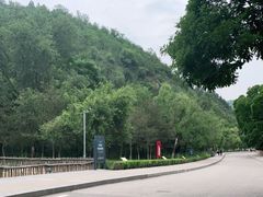 -延安杨家岭革命旧址