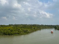 -东寨港红树林旅游区