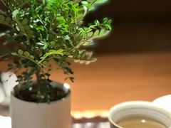 -CURRY YA 熟成咖哩專門店(深圳湾万象城店)