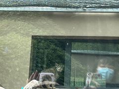 -青藏高原野生动物园